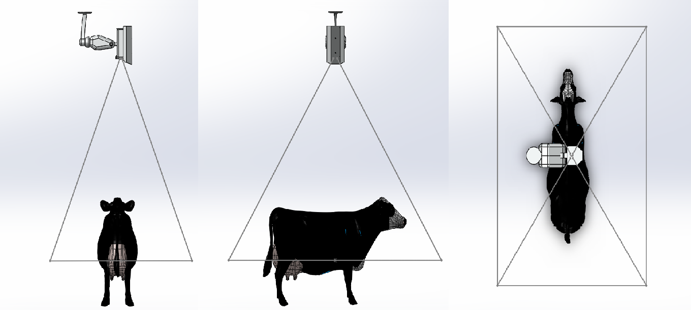 Hayalet Baskül Terazi Büyükbaş Küçükbaş