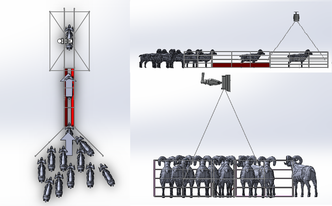 Hayalet Baskül Terazi Büyükbaş Küçükbaş