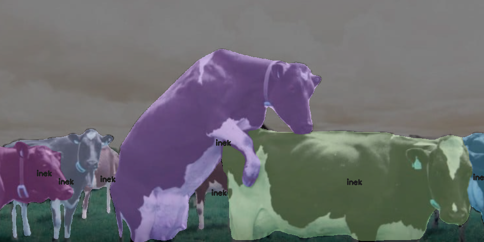 yapay zeka inek kızgınlık takibi